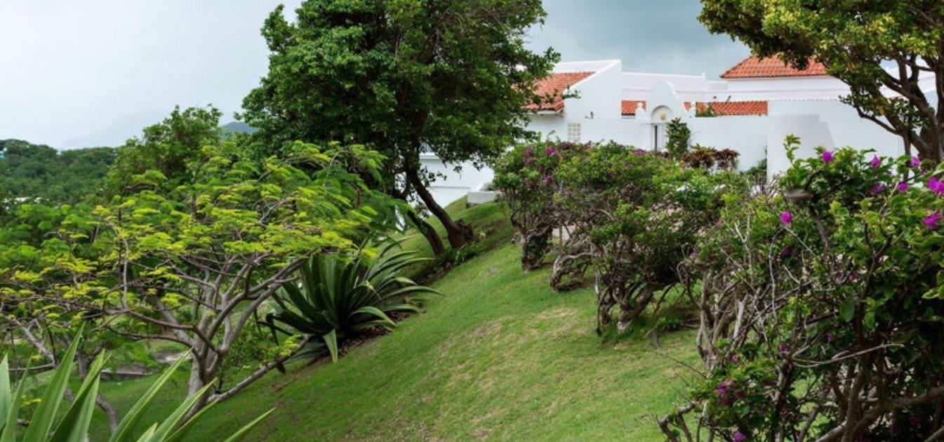 Easy Living - St.Lucia
