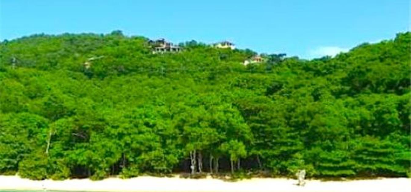 Lower Bay Land with Planning