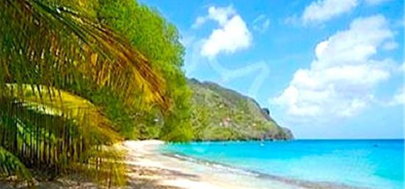 Lower Bay Land with Planning