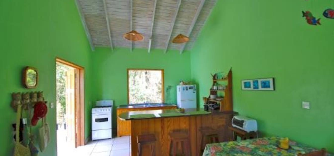 The Green House