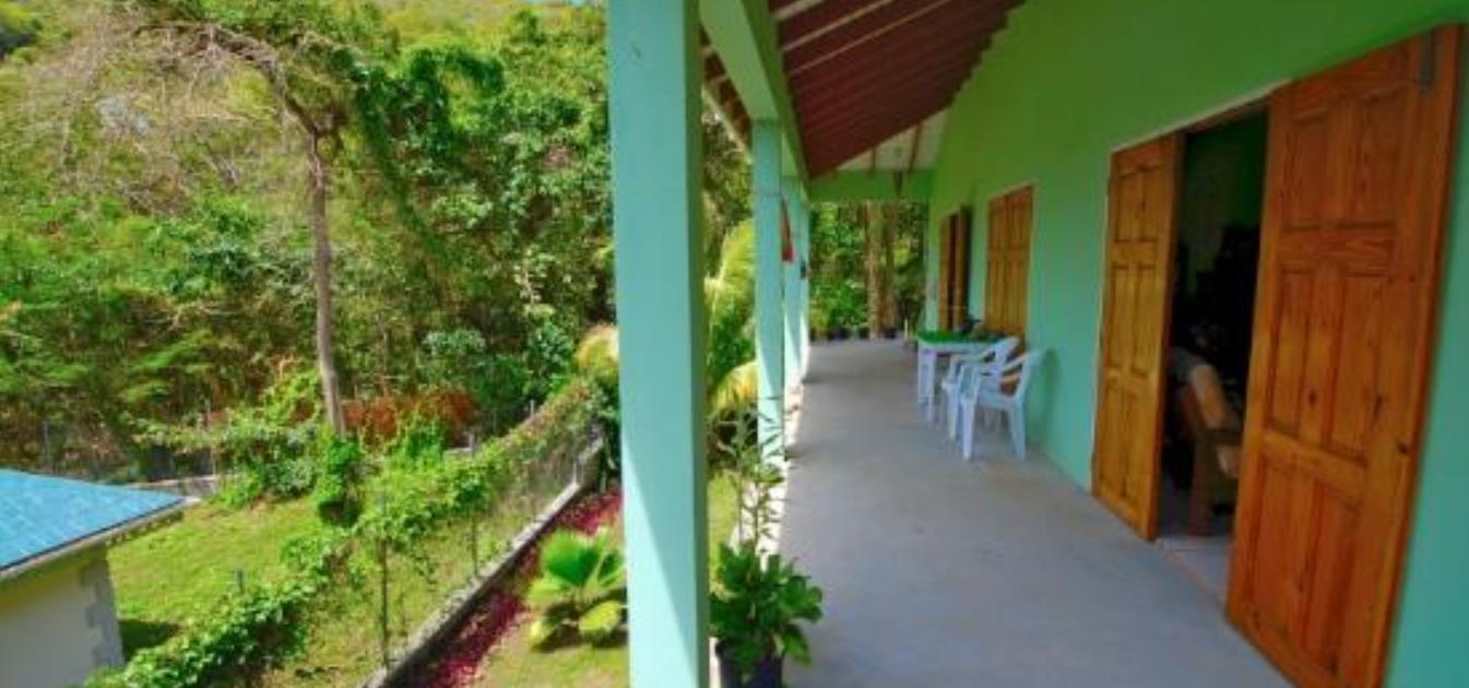 The Green House