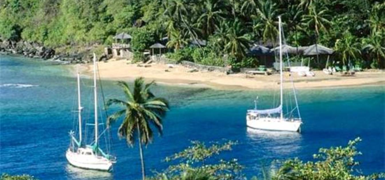 Young Island