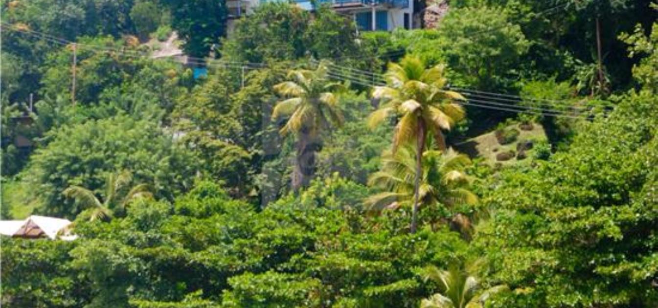 vacation-rentals/st-vincent-and-the-grenadines/bequia/princess-margaret/a-shade-of-blues-apartment