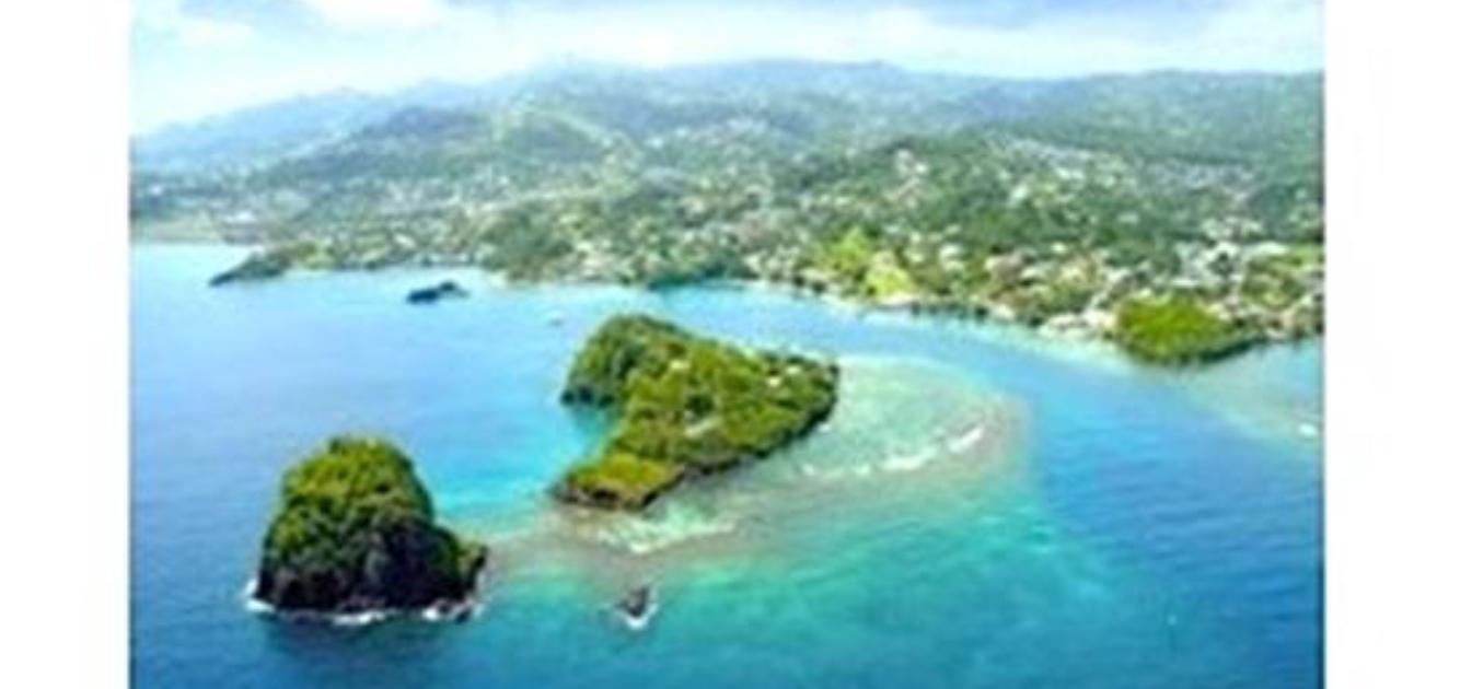 Young Island