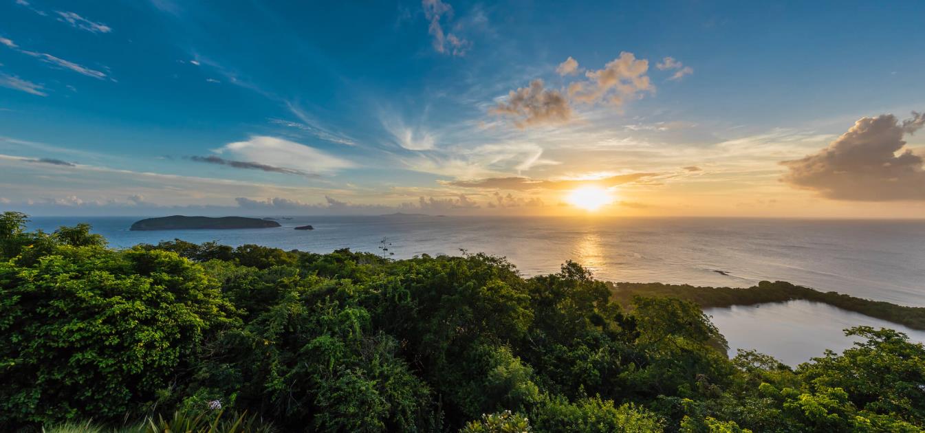 Mustique Properties For Sale