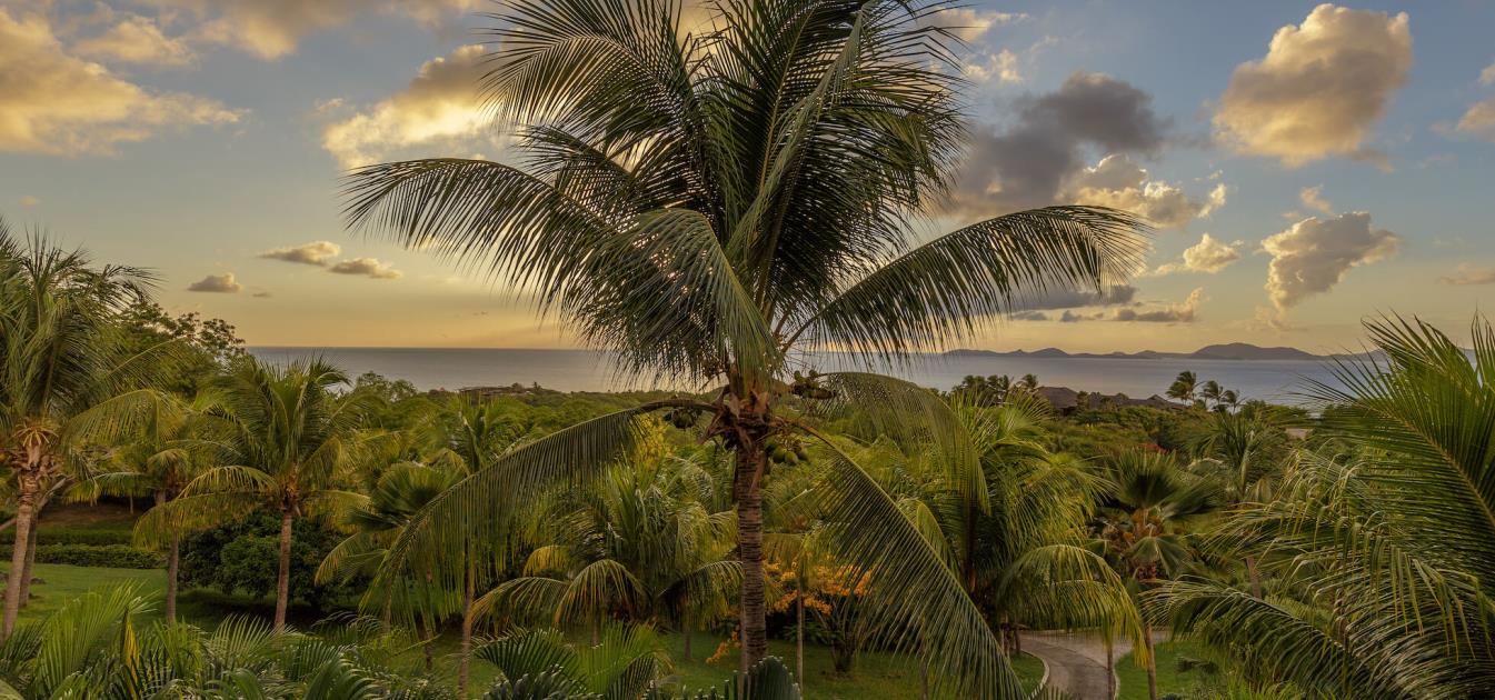 Mustique Properties For Sale