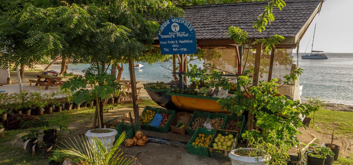 Mustique Properties For Sale