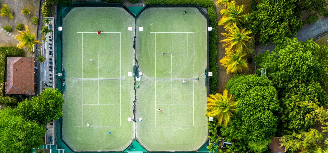 Mustique Properties For Sale