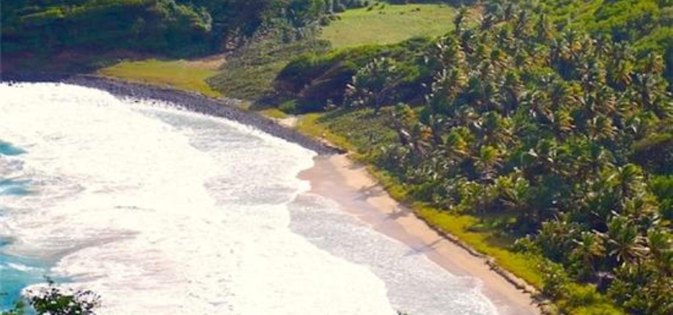 vacation-rentals/st-vincent-and-the-grenadines/bequia/hope-bay/sights-and-sounds-guest-studio