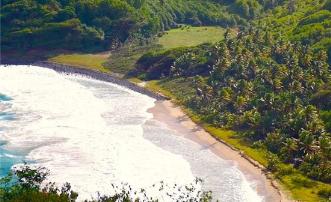 Sights & Sounds Guest Studio