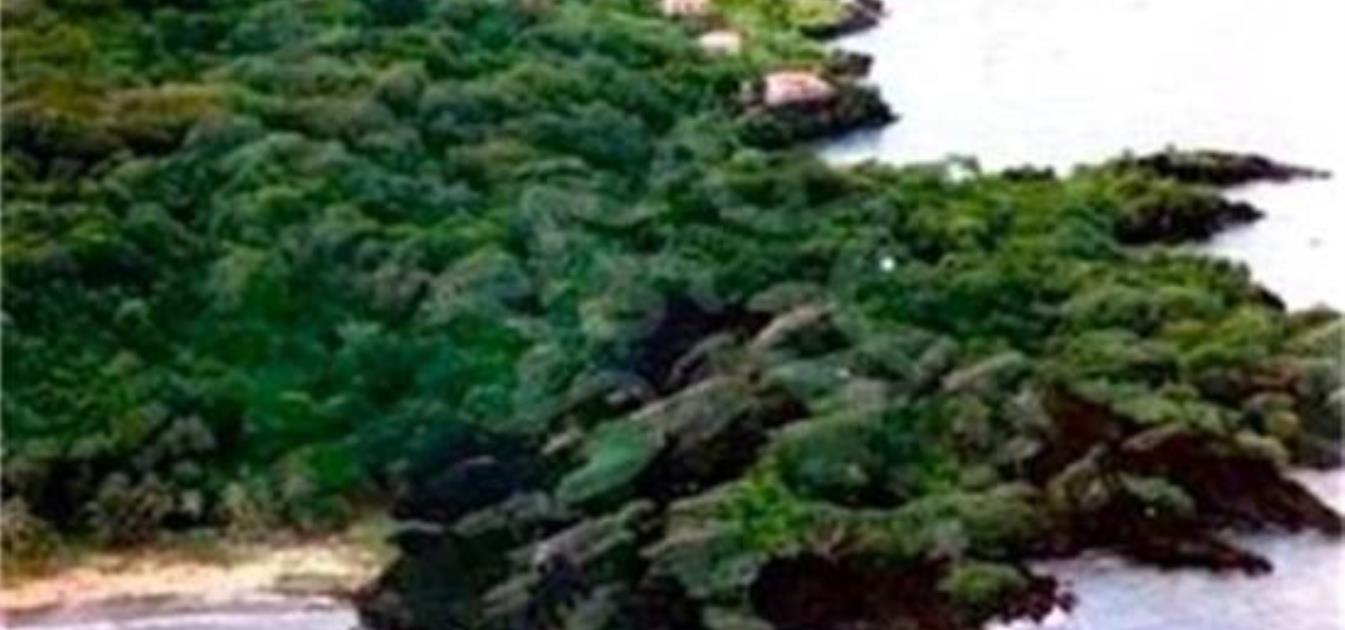 PRIVATE ISLAND  Isle de Caille