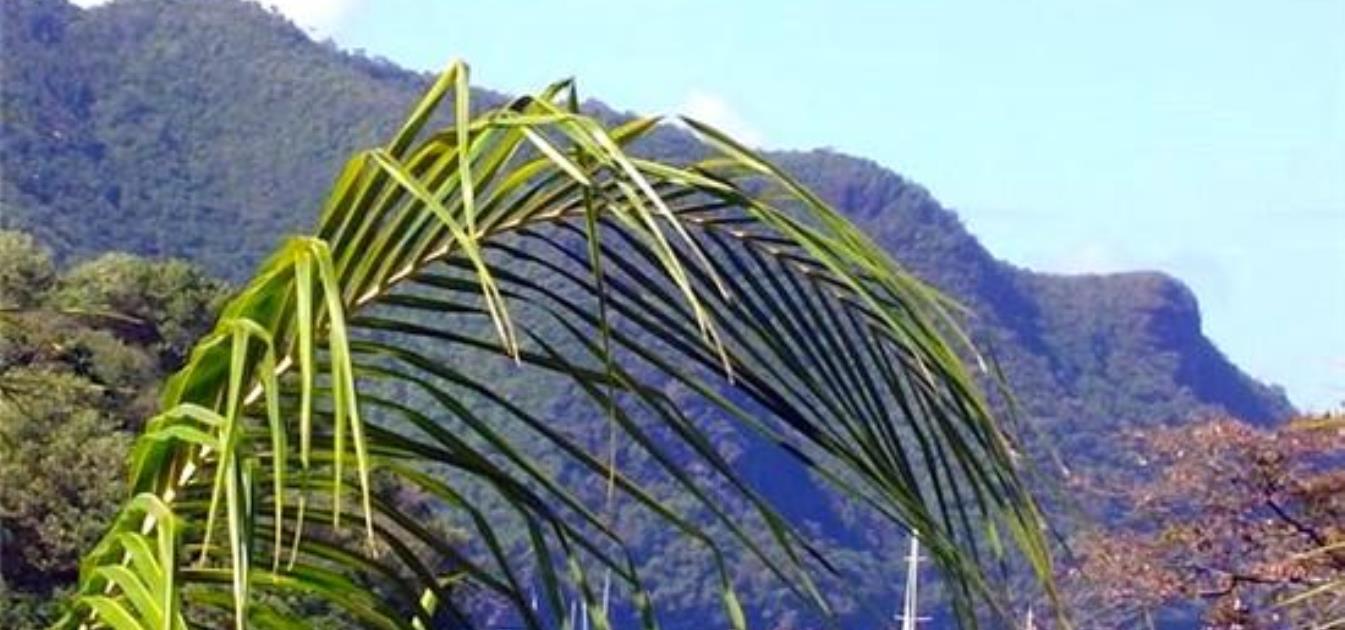 vacation-rentals/st-vincent-and-the-grenadines/bequia/belmont/village-apartments-studio-apt-2
