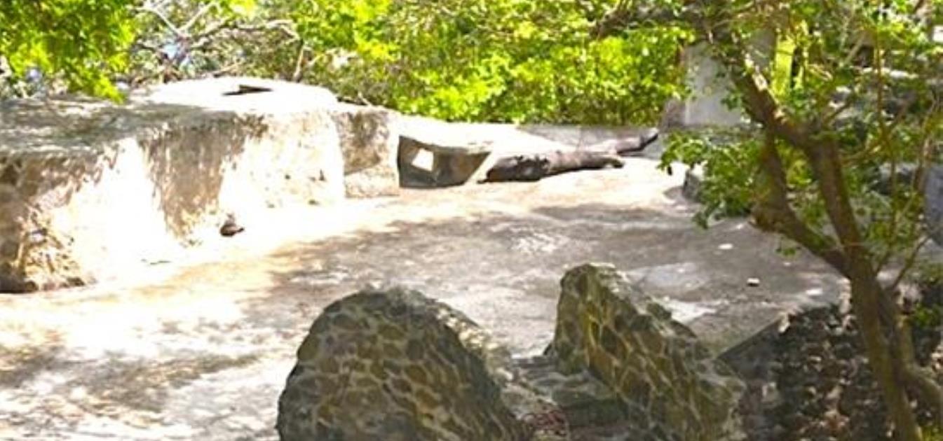 Moonhole Eco Property