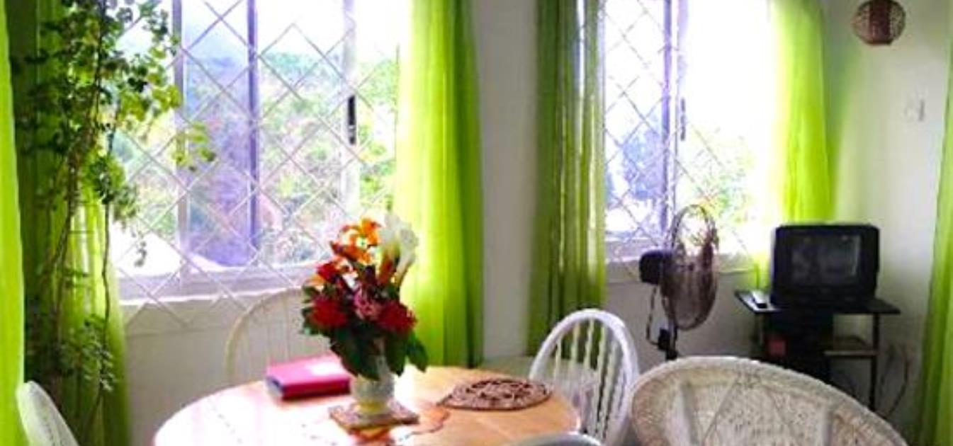 vacation-rentals/st-vincent-and-the-grenadines/bequia/belmont/village-apartments-one-bedroom-cottages