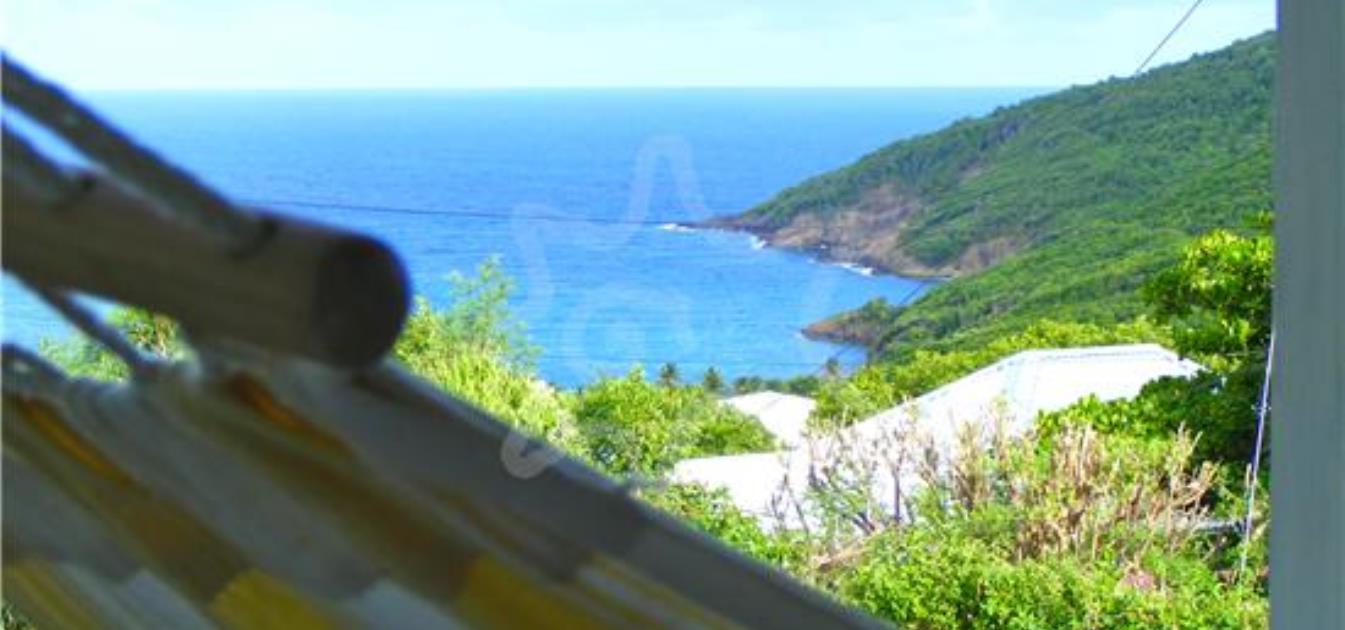 vacation-rentals/st-vincent-and-the-grenadines/bequia/spring/the-cotton-tree