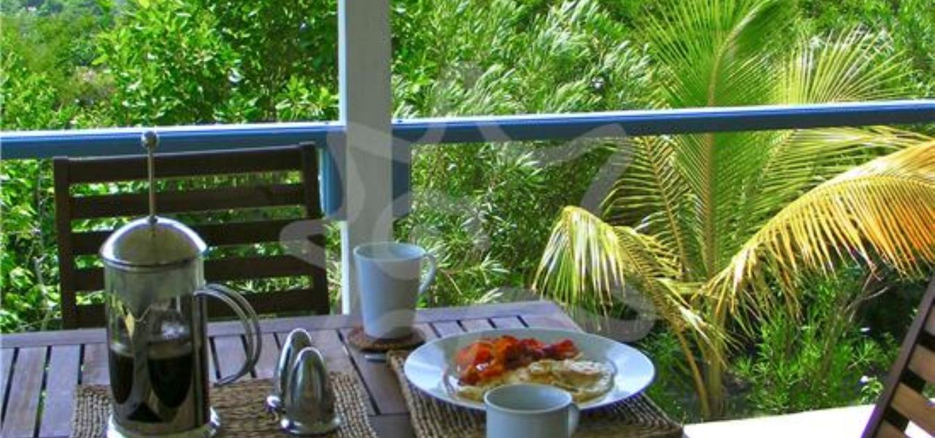 vacation-rentals/st-vincent-and-the-grenadines/bequia/spring/the-cotton-tree