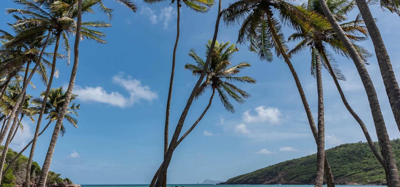 vacation-rentals/st-vincent-and-the-grenadines/bequia/spring/firefly-bequia