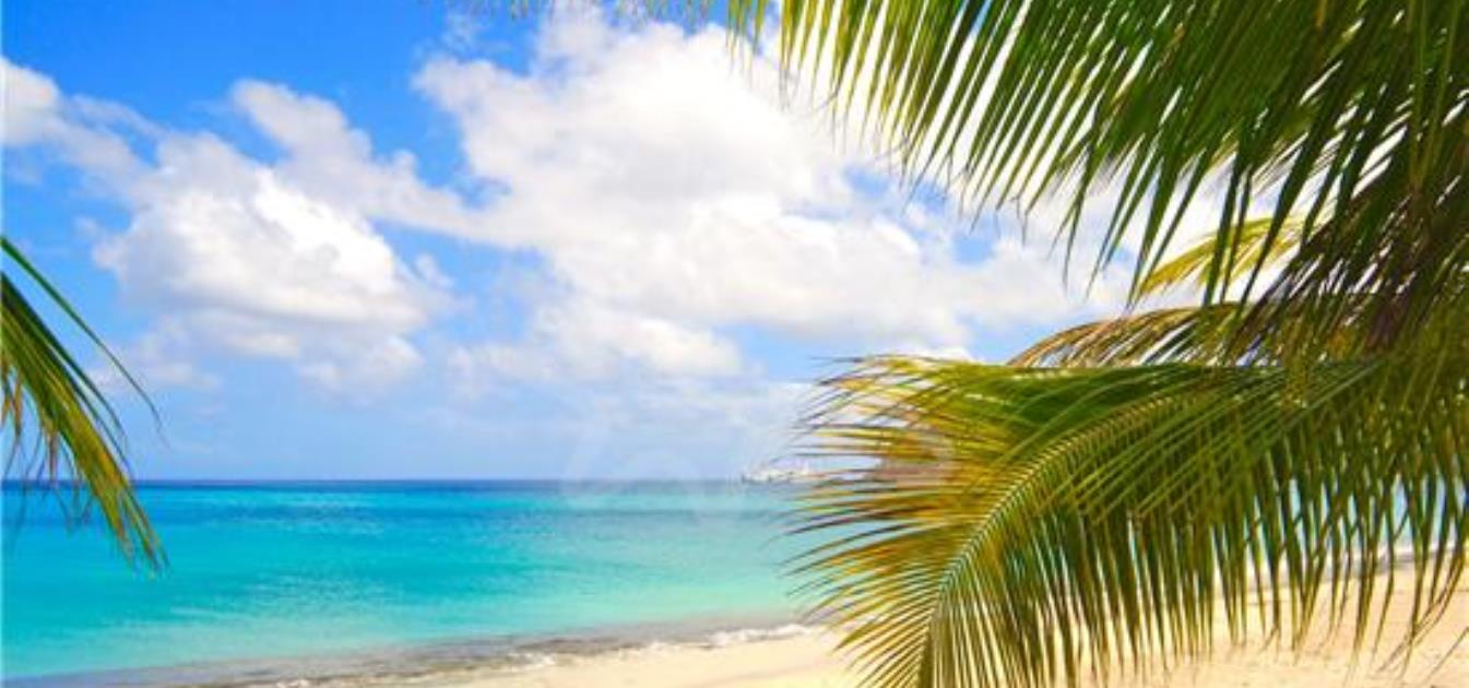 vacation-rentals/st-vincent-and-the-grenadines/bequia/lower-bay/provision-house----avalon-by-the-sea---