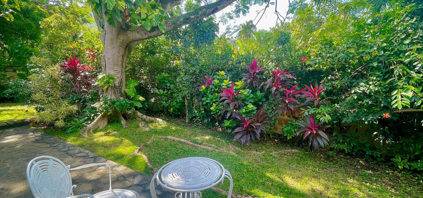 vacation-rentals/st-vincent-and-the-grenadines/bequia/belmont/stone-cottage