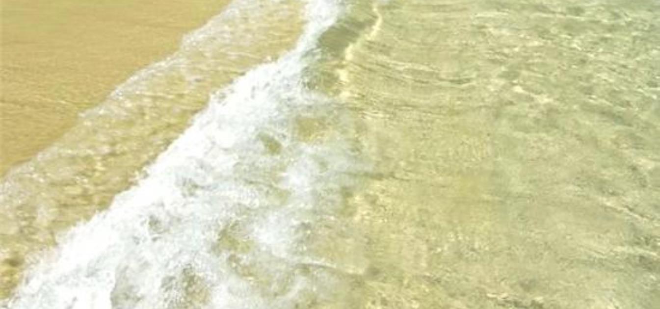 vacation-rentals/st-vincent-and-the-grenadines/bequia/lower-bay/sweet-retreat-villa