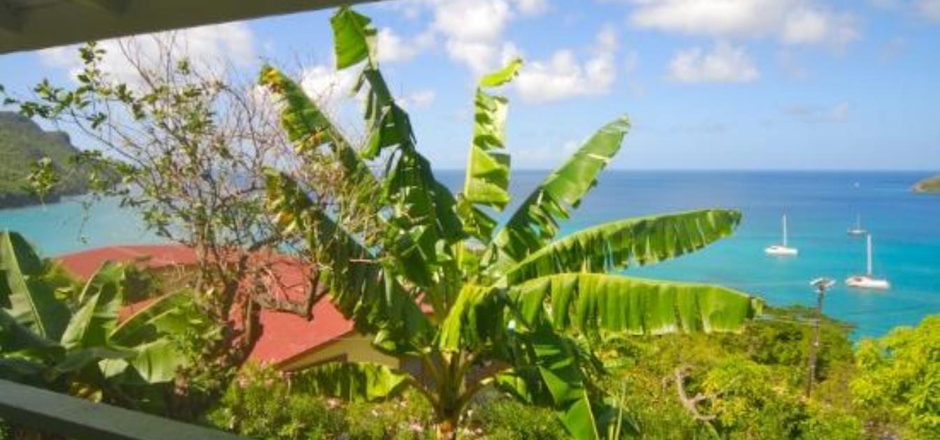 vacation-rentals/st-vincent-and-the-grenadines/bequia/lower-bay/ermina's-studio