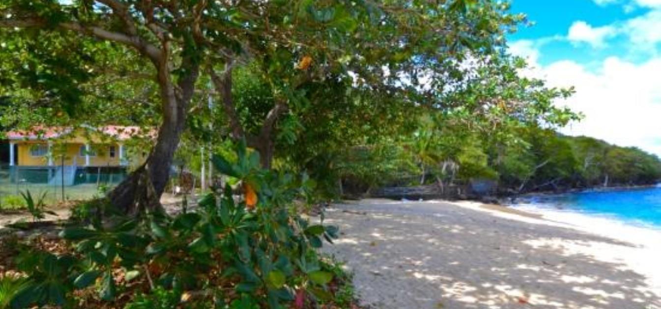 vacation-rentals/st-vincent-and-the-grenadines/bequia/lower-bay/tropical-daze