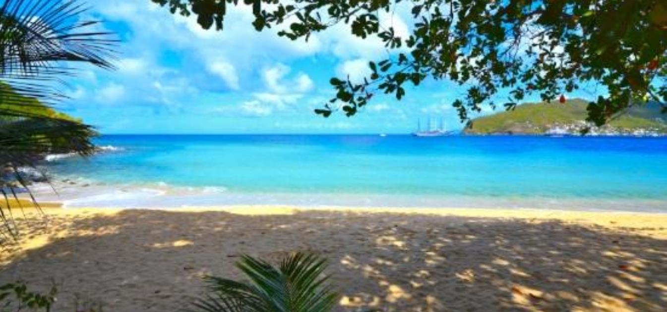 vacation-rentals/st-vincent-and-the-grenadines/bequia/lower-bay/tropical-daze