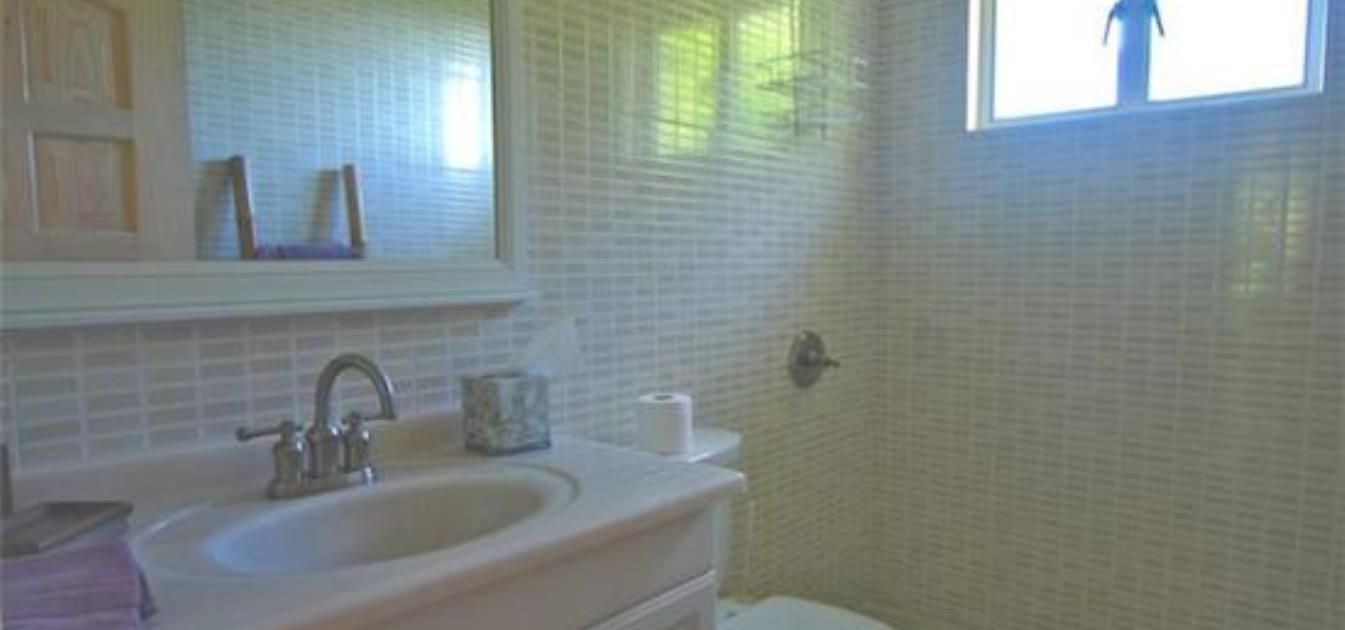 vacation-rentals/st-vincent-and-the-grenadines/bequia/friendship-bay/friendship-bay-villas-apts-a1-and-a2