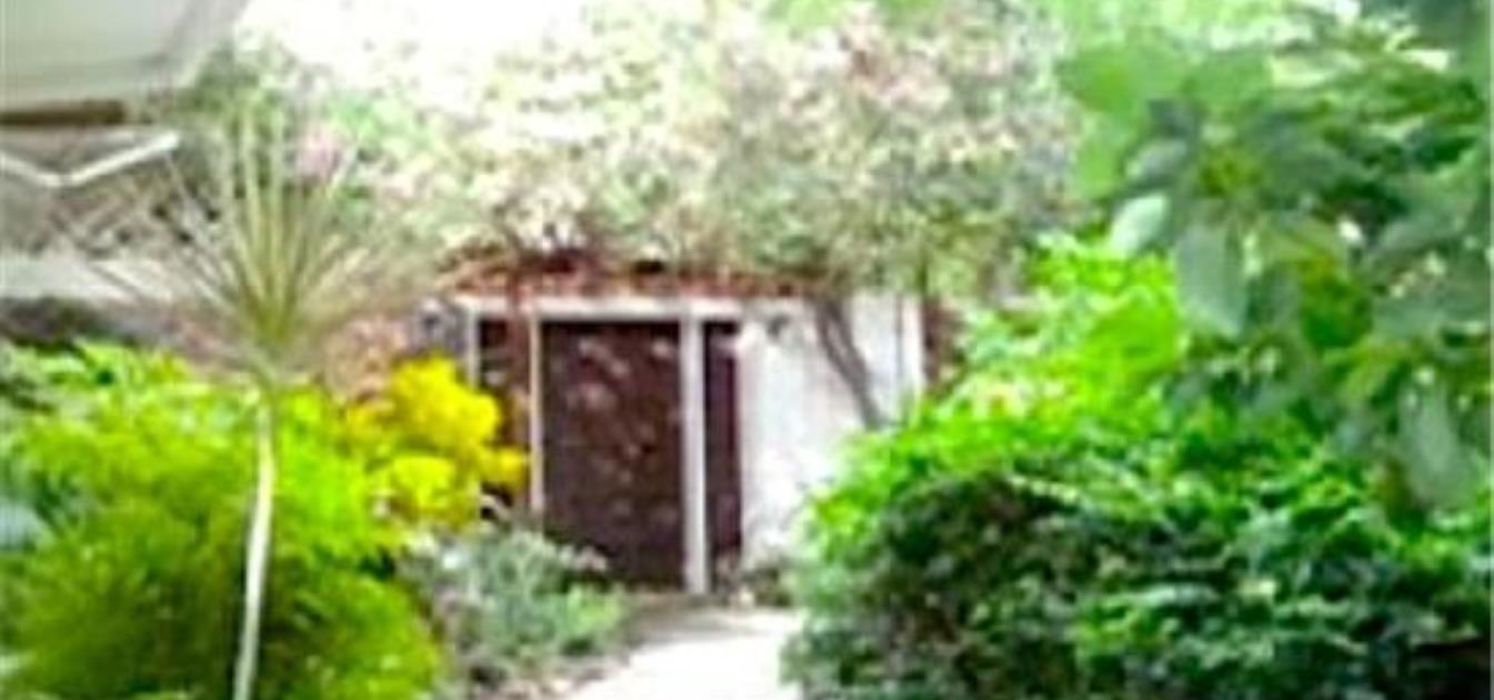 The Dog House