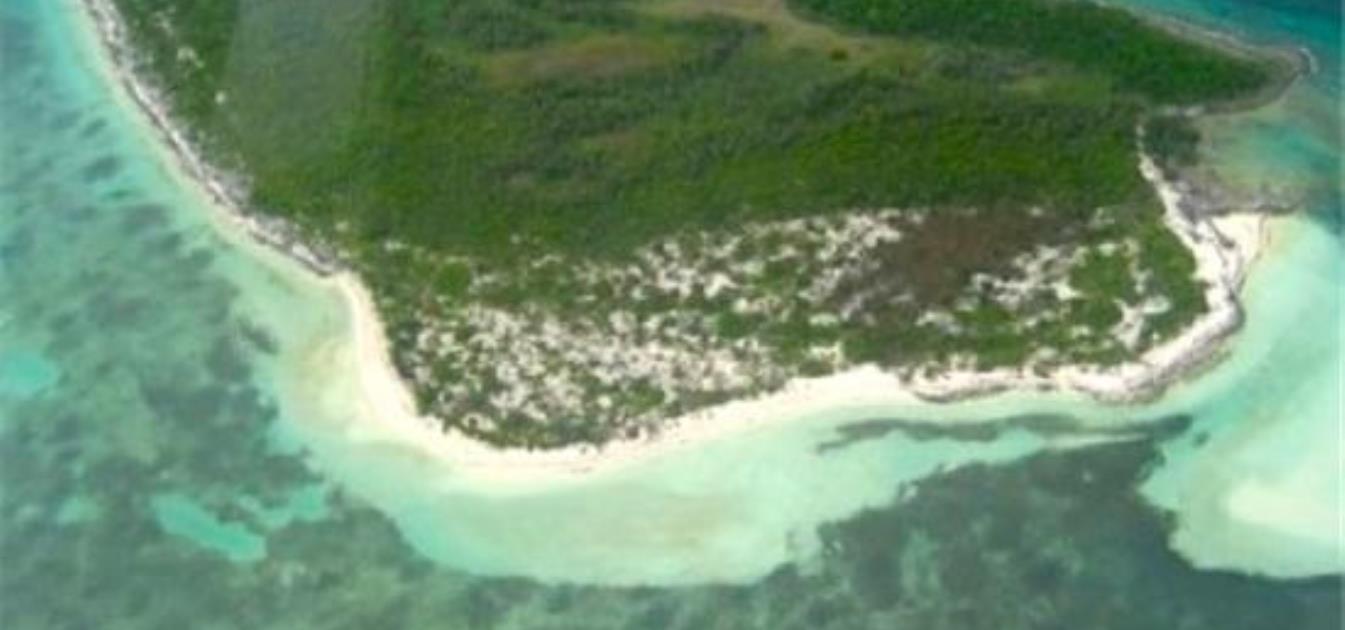 Private Island Joe's Cay