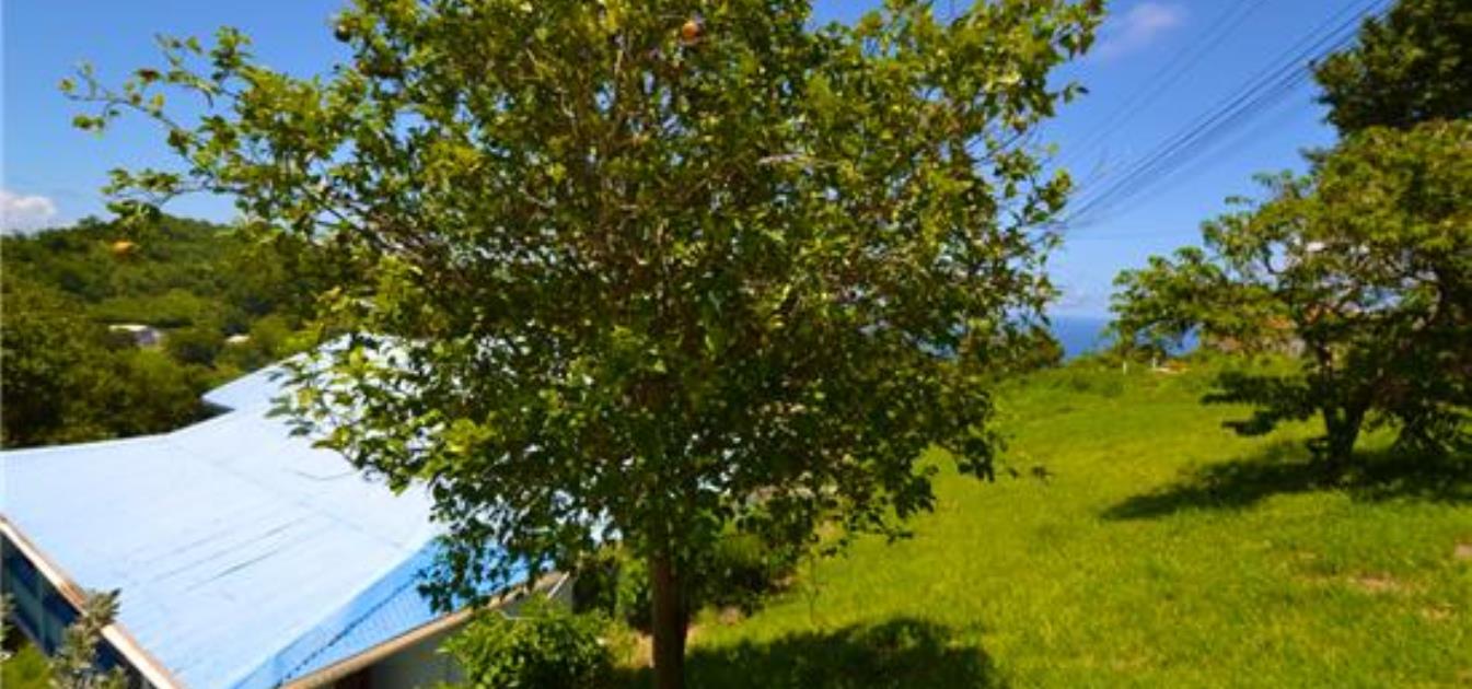 vacation-rentals/st-vincent-and-the-grenadines/bequia/hope-bay/camel-house