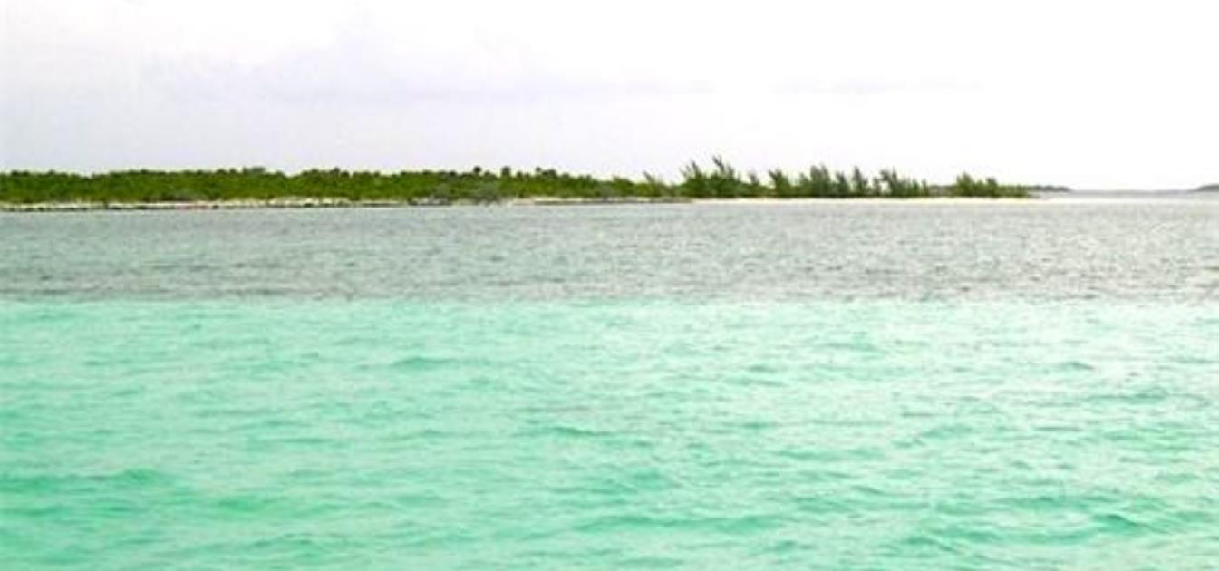 Joes Cay