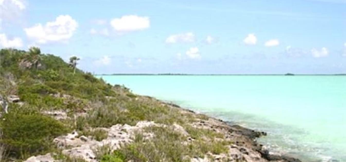 Bonefish Cay