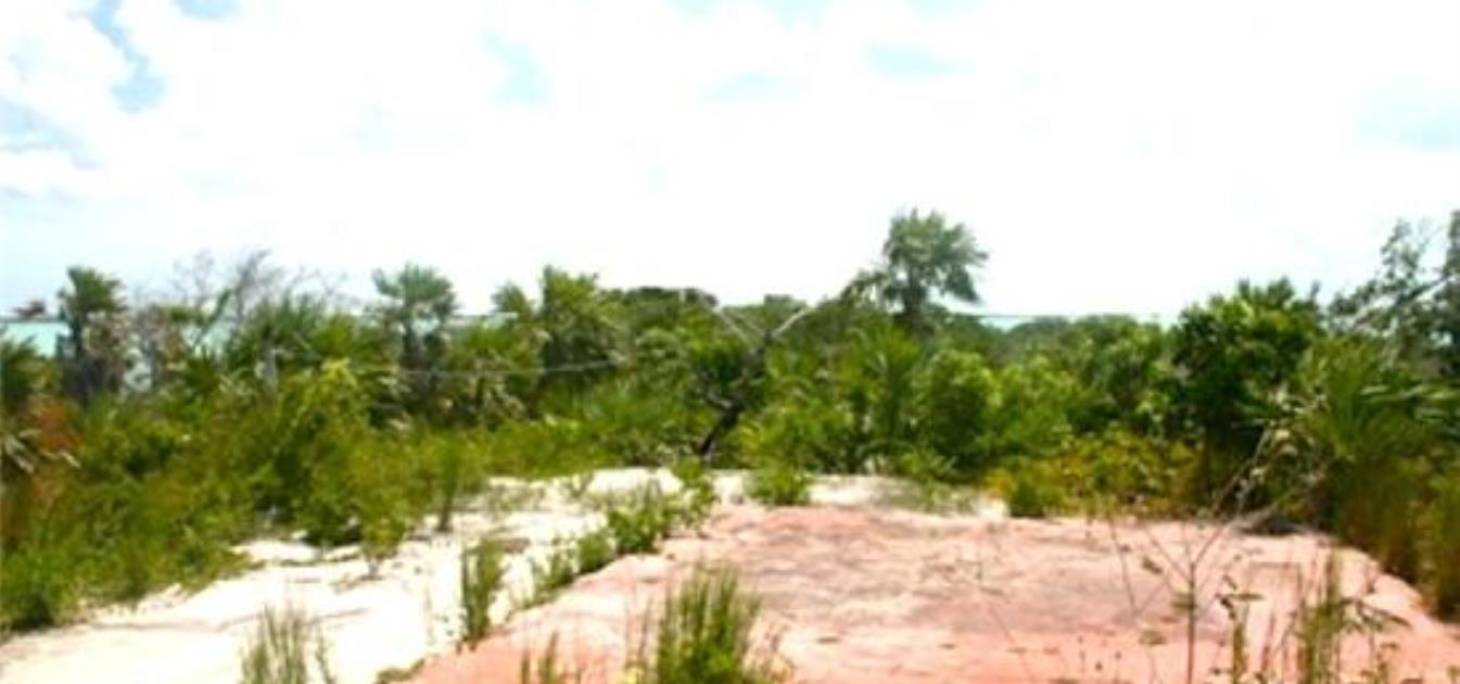 Bonefish Cay