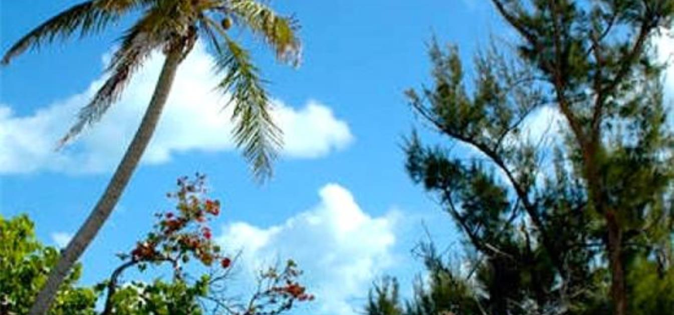 Private Island Sandy Cay