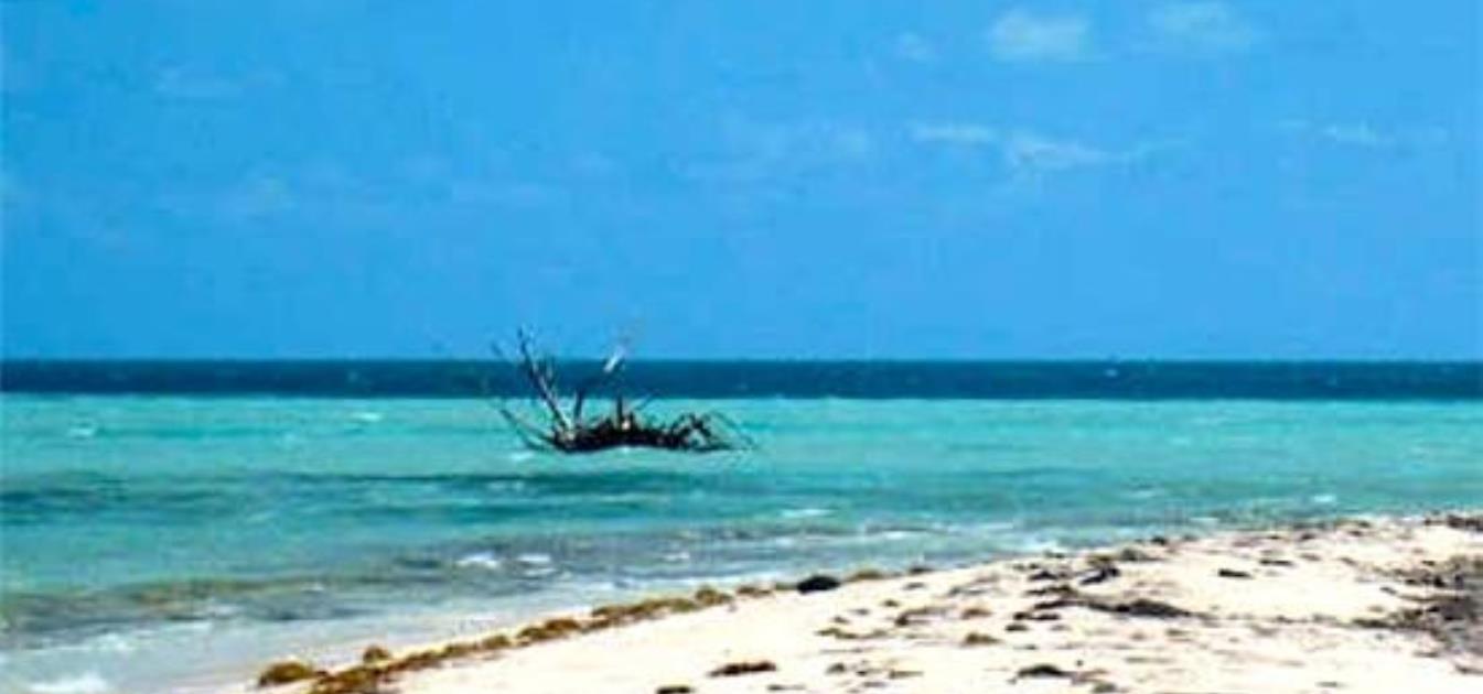 Private Island Sandy Cay