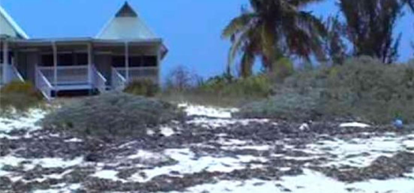 Private Island Moraine Cay