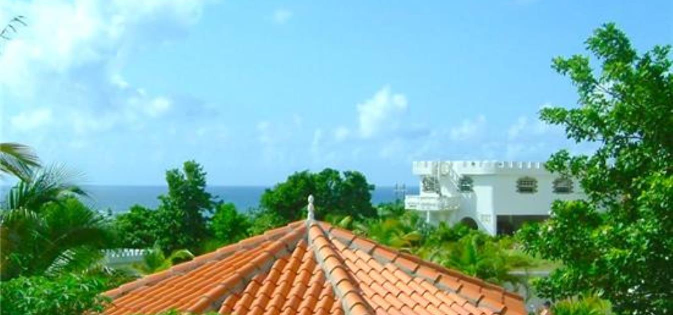 Castles in Paradise Villa 5