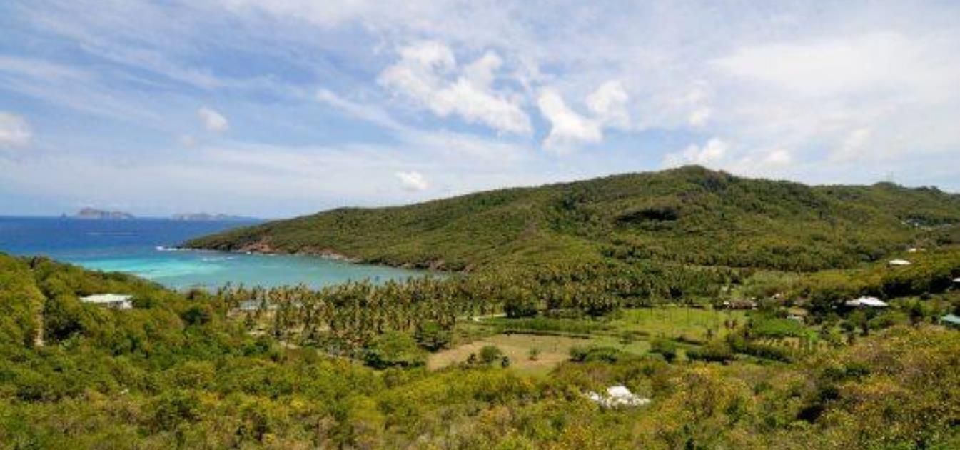 Spring Old Cart Road Plot 4