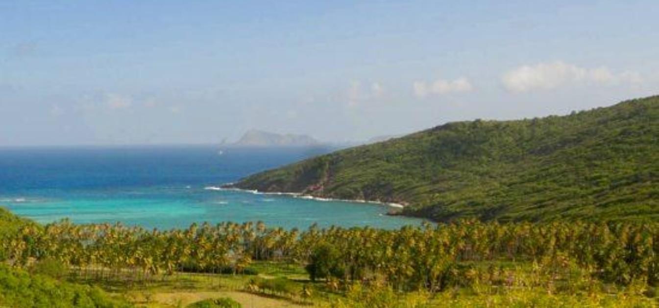 Spring Old Cart Road Plot 4