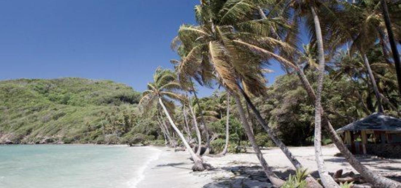 Spring Old Cart Road Plot 4