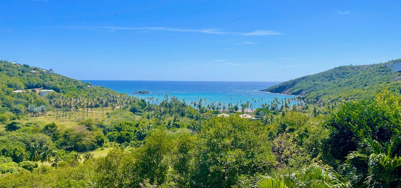 vacation-rentals/st-vincent-and-the-grenadines/bequia/spring/eastwinds-villa