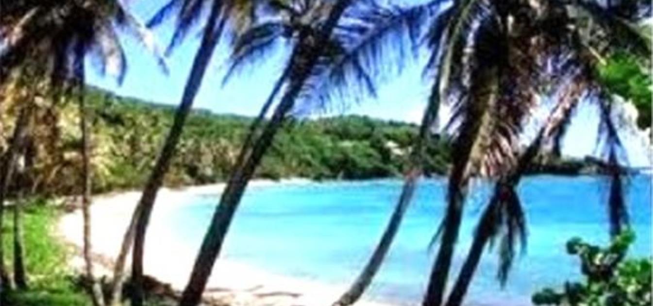 Beachfront Villas