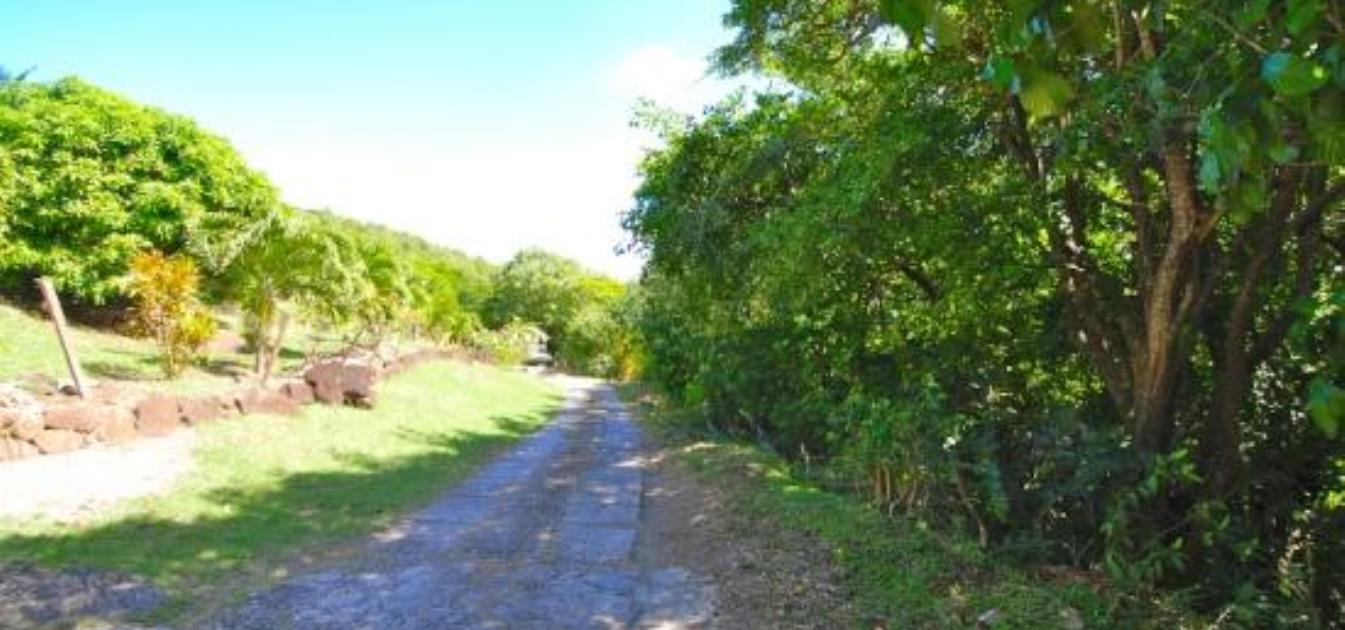Spring Estate Lot 29