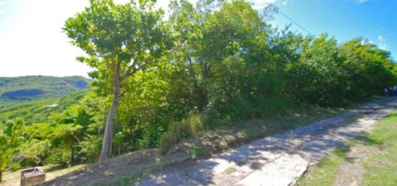 Spring Estate Lot 29