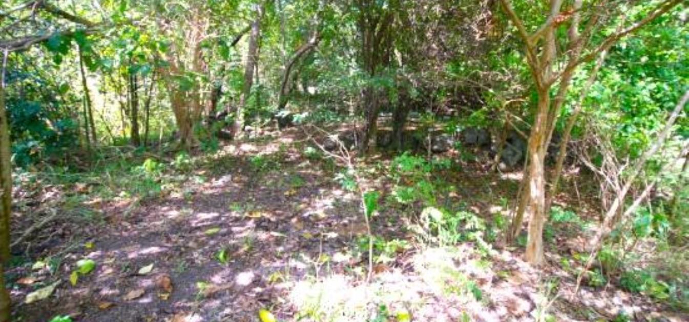 Spring Estate Lot 29