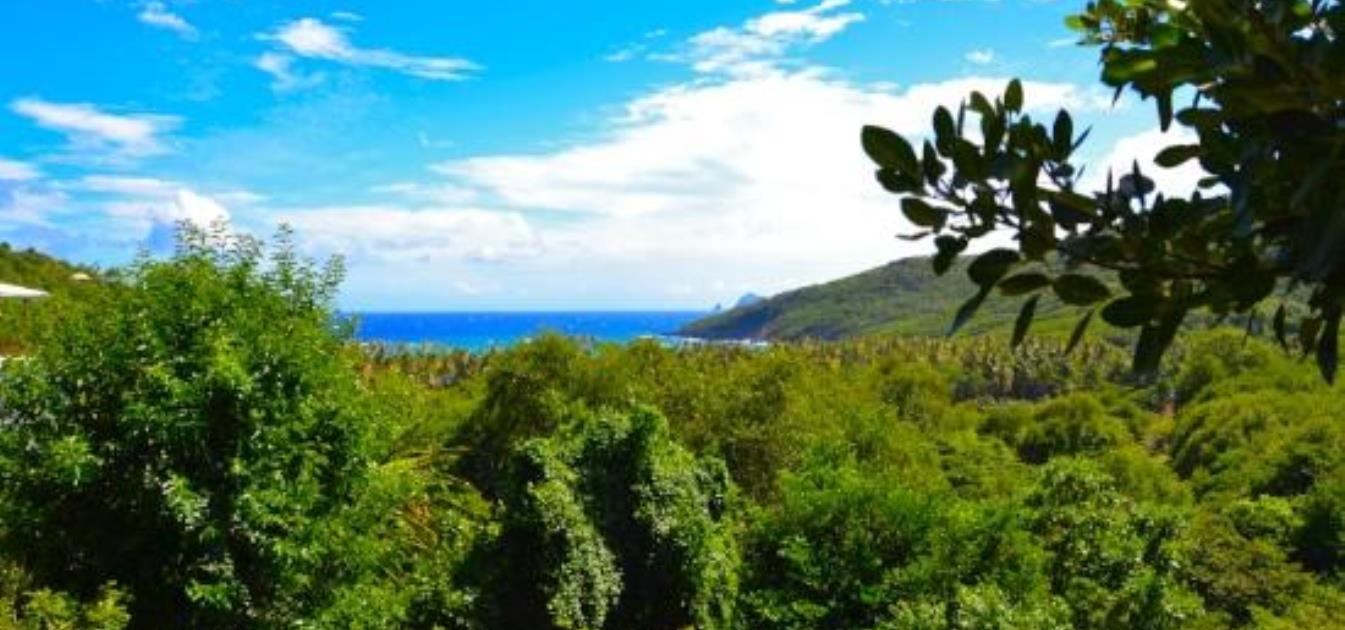 Spring Estate Lot 29