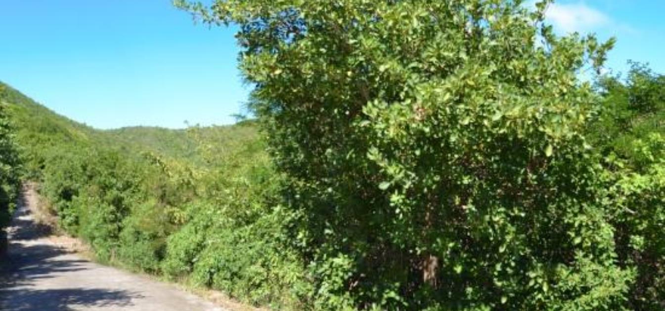 Crown Point Lots 6 & 7