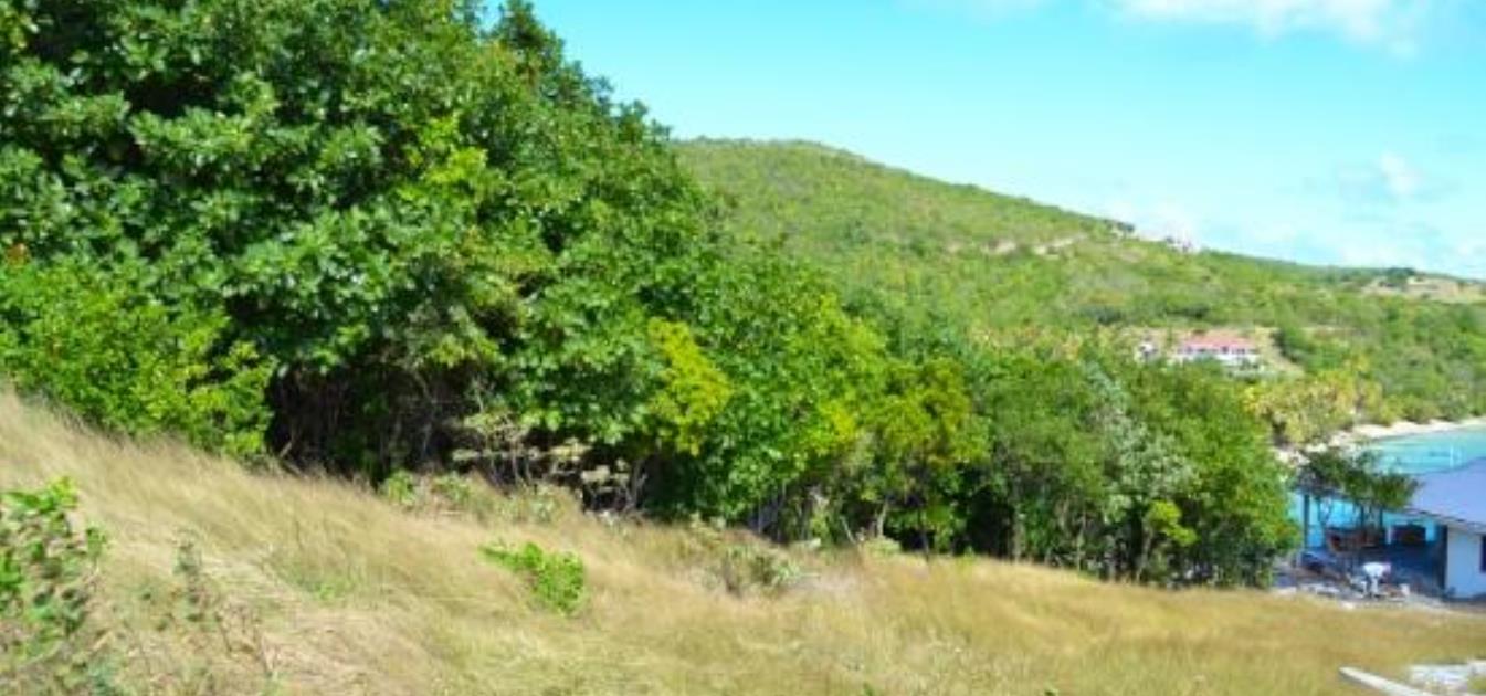 Crown Point Lots 6 & 7