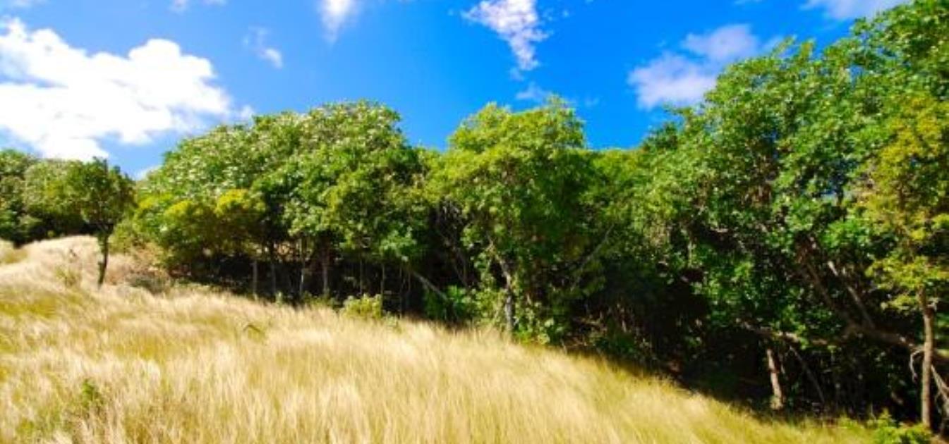 Crown Point Lots 6 & 7